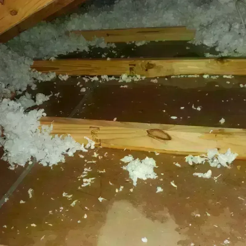 Attic Water Damage in Ferdinand, IN