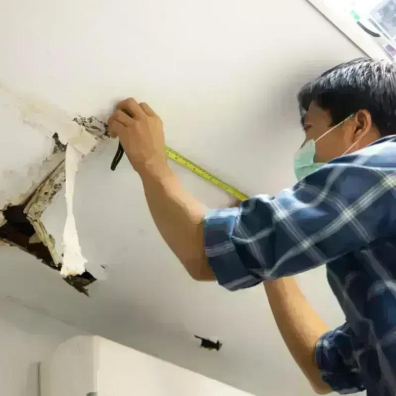 Ceiling And Wall Water Damage in Ferdinand, IN